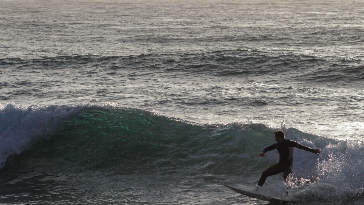 Photo of Others in Beach Barber Tract
