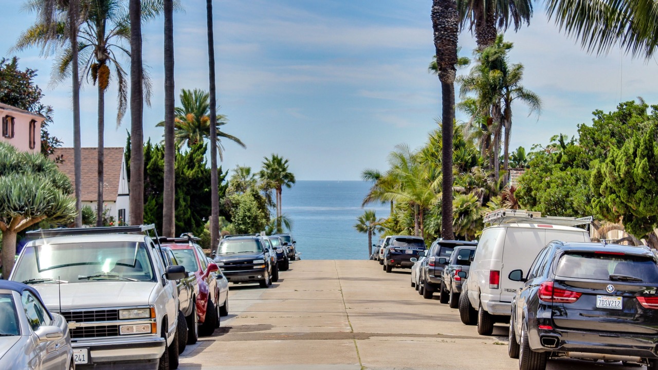 Photo of Others in Beach Barber Tract