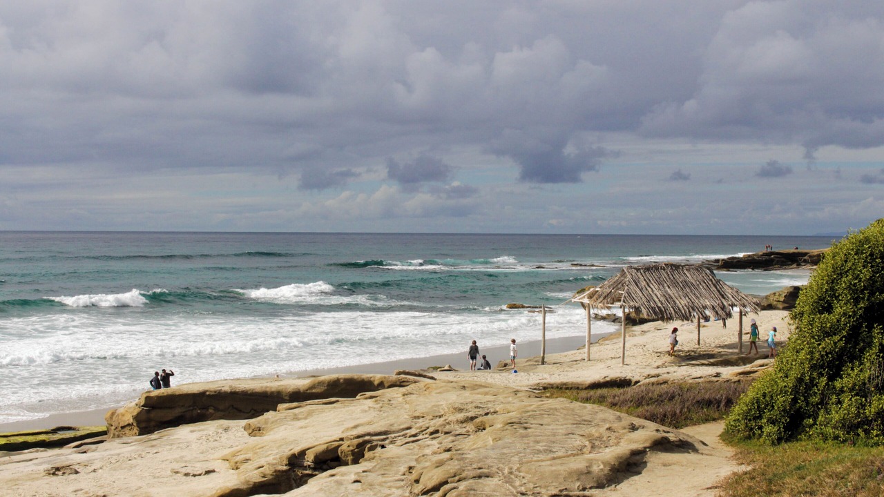Photo of Others in Beach Barber Tract