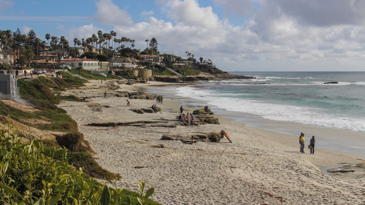 Photo of Others in Beach Barber Tract