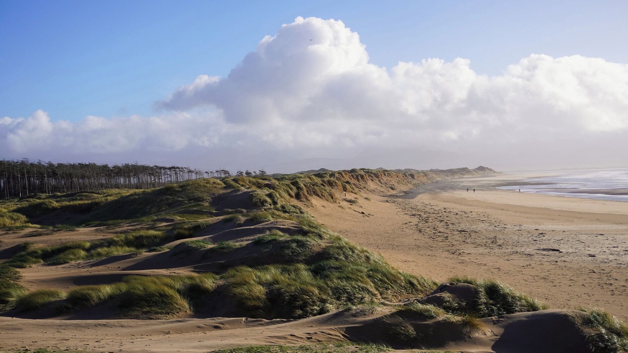 Photo of Others in Newborough