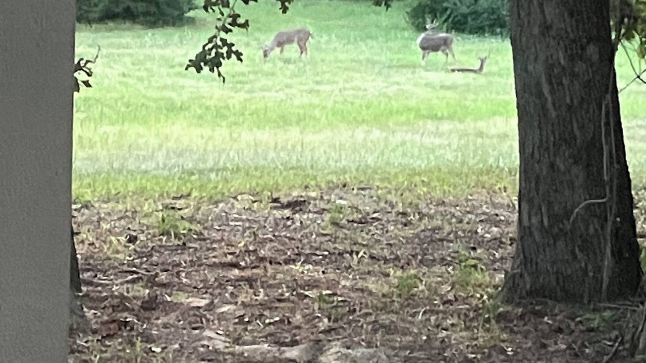 Photo of Others in Caldwell