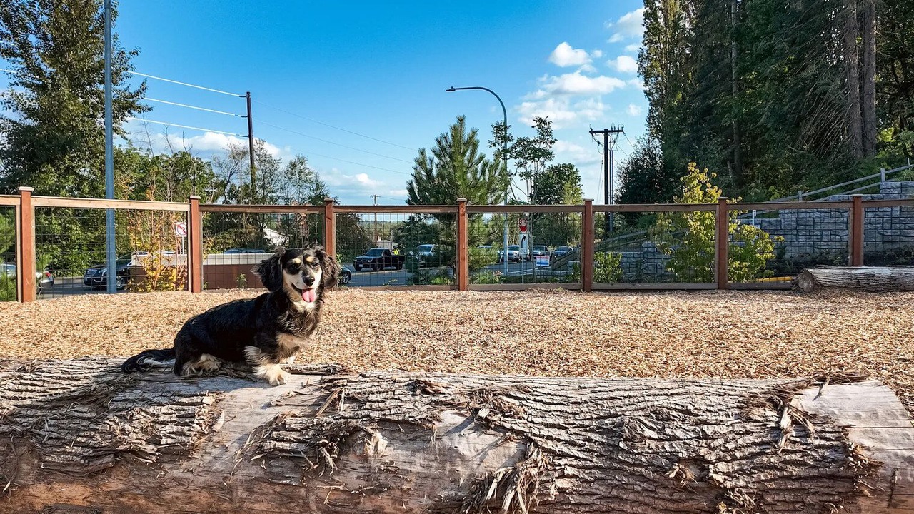 Photo of Outdoor in Redmond