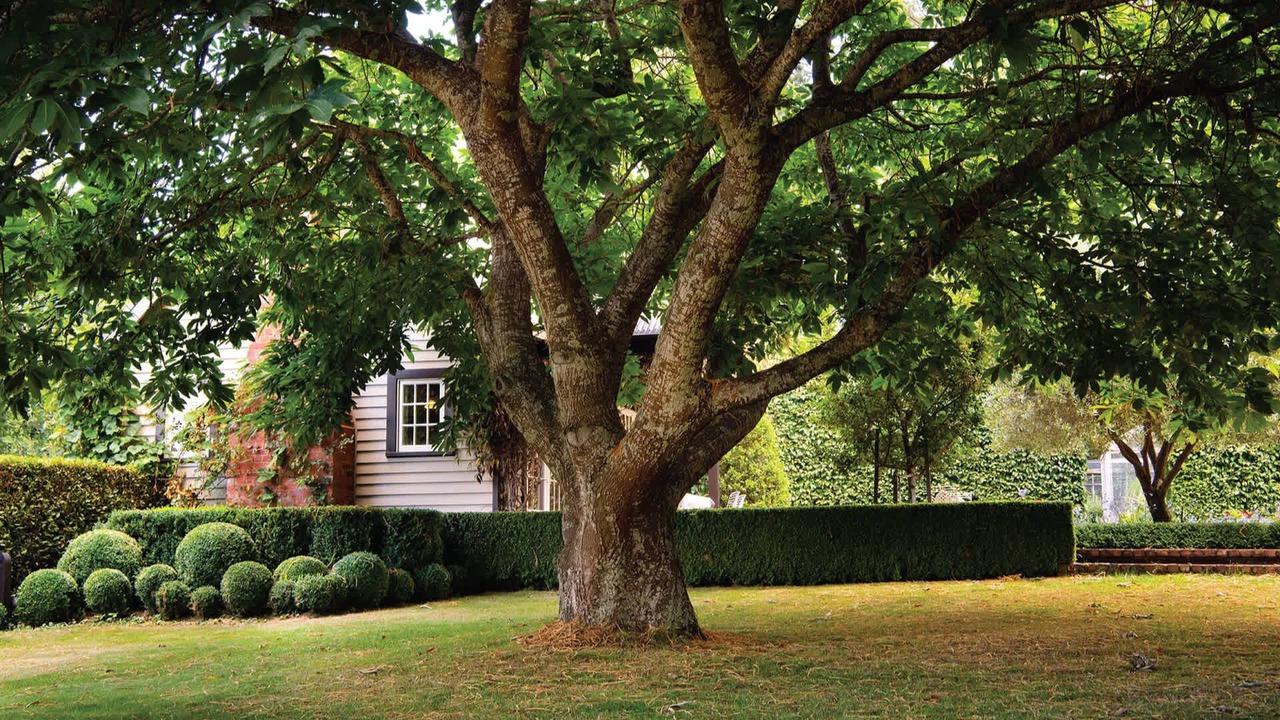 Photo of Others in Musk