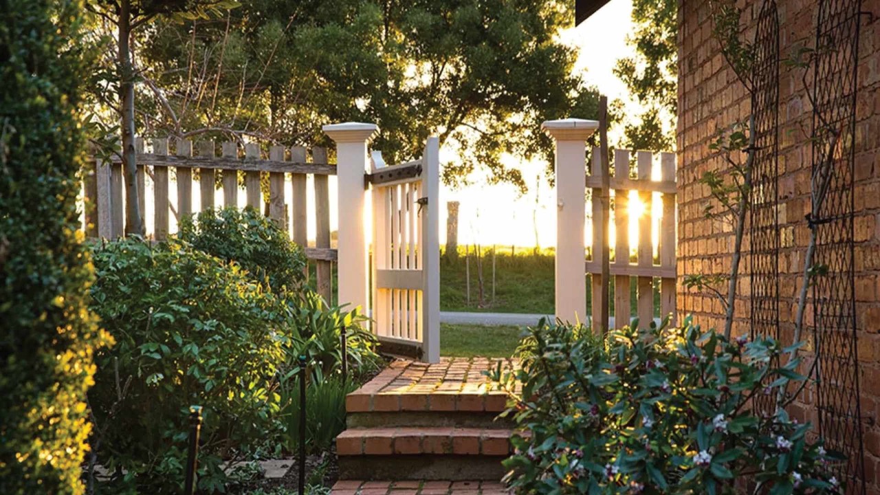 Photo of Others in Musk