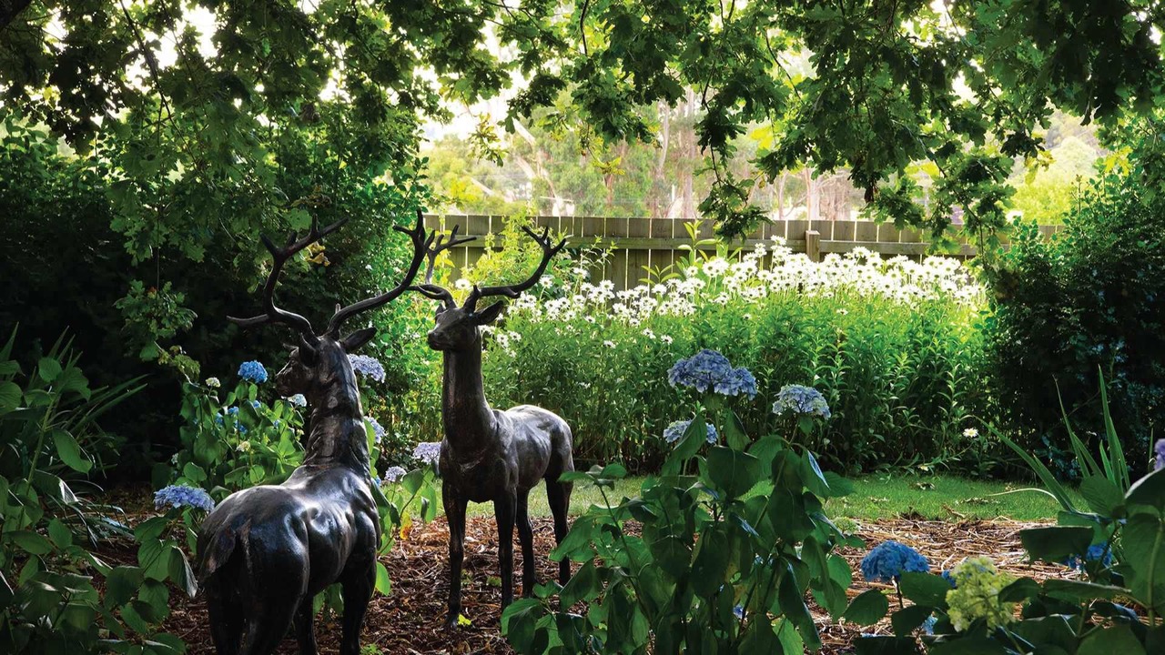 Photo of Others in Musk