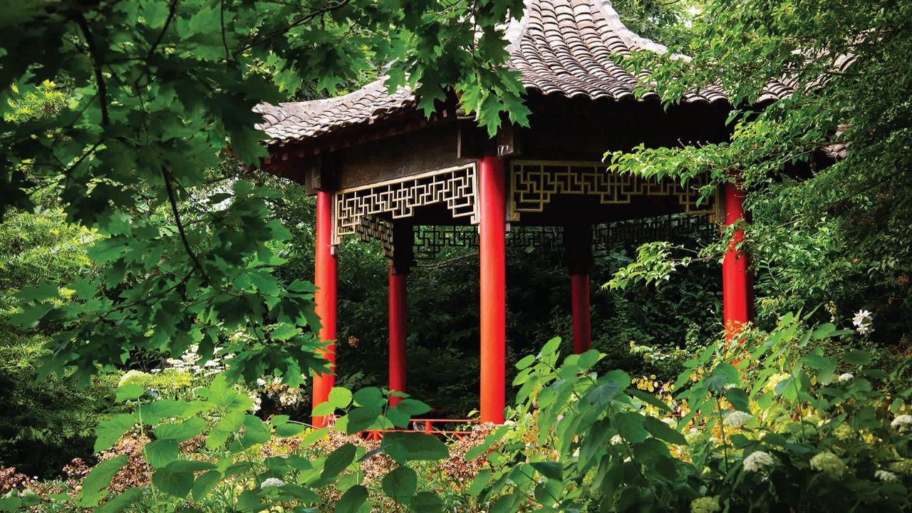 Photo of Others in Musk