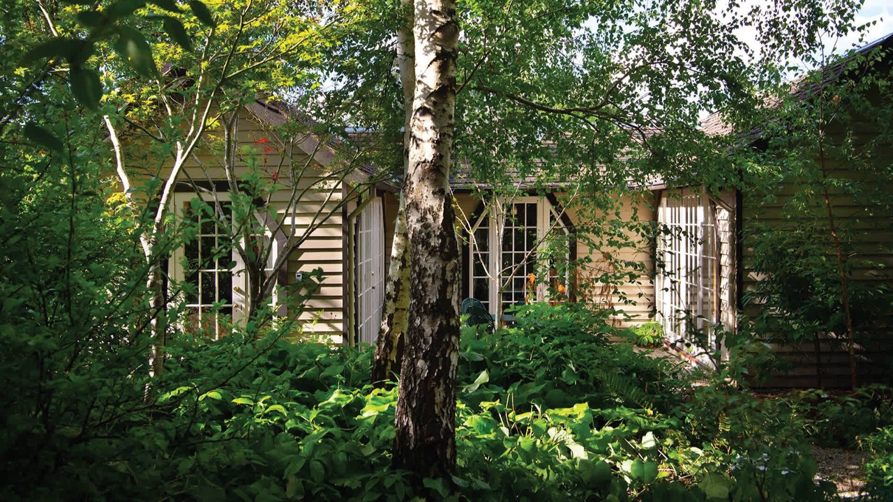 Photo of Others in Musk