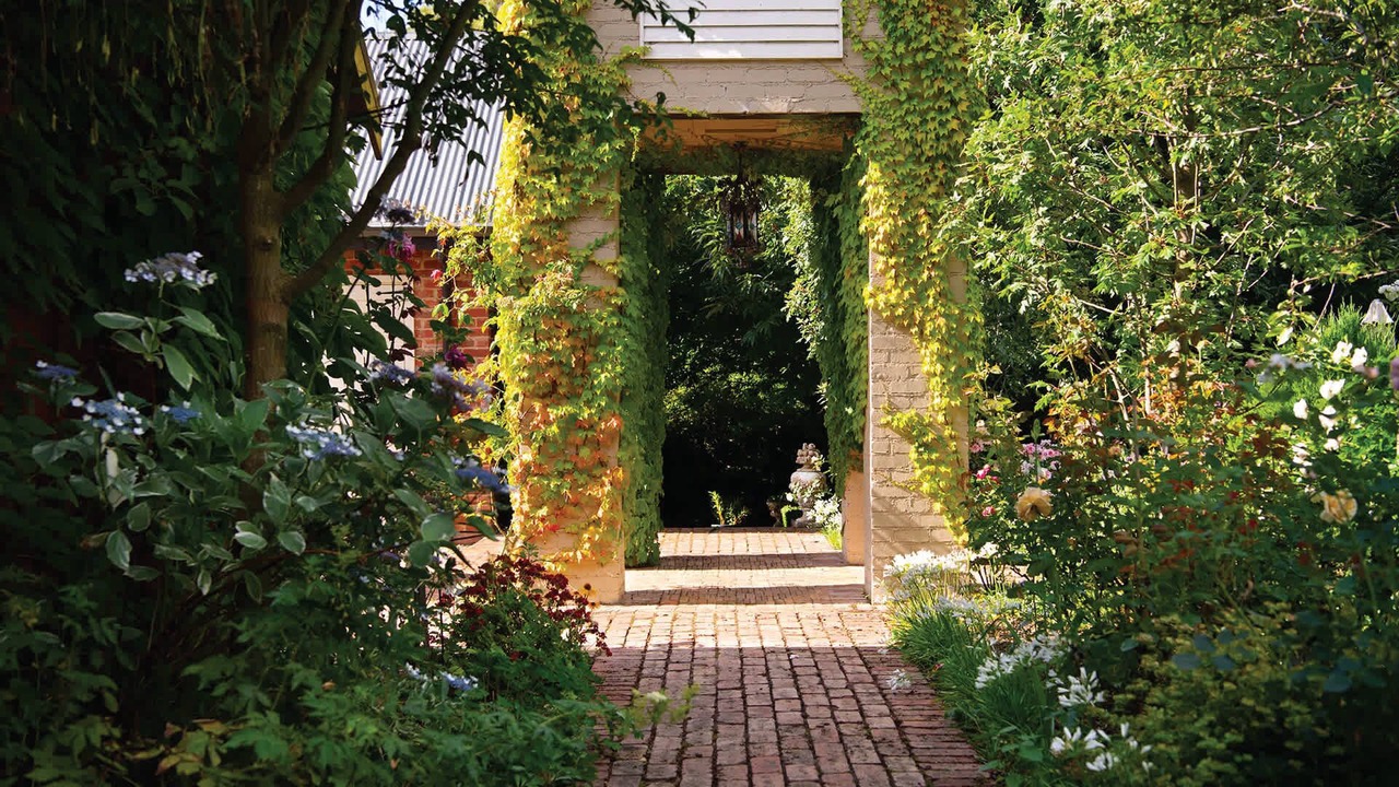 Photo of Others in Musk