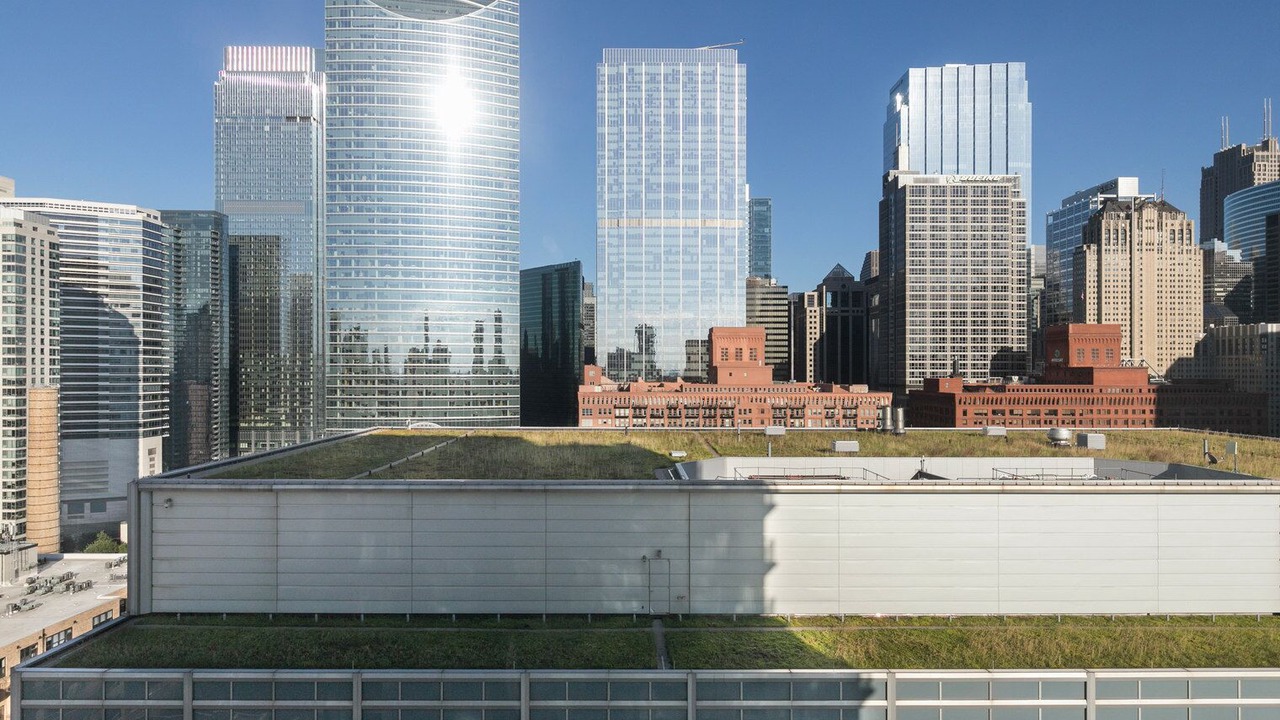 Photo of Others in West Loop Gate