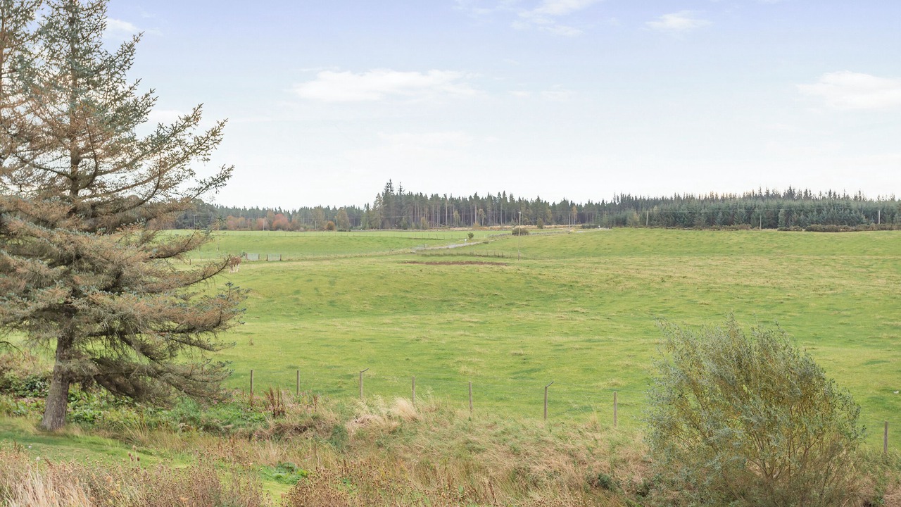 Photo of Others in Balloch