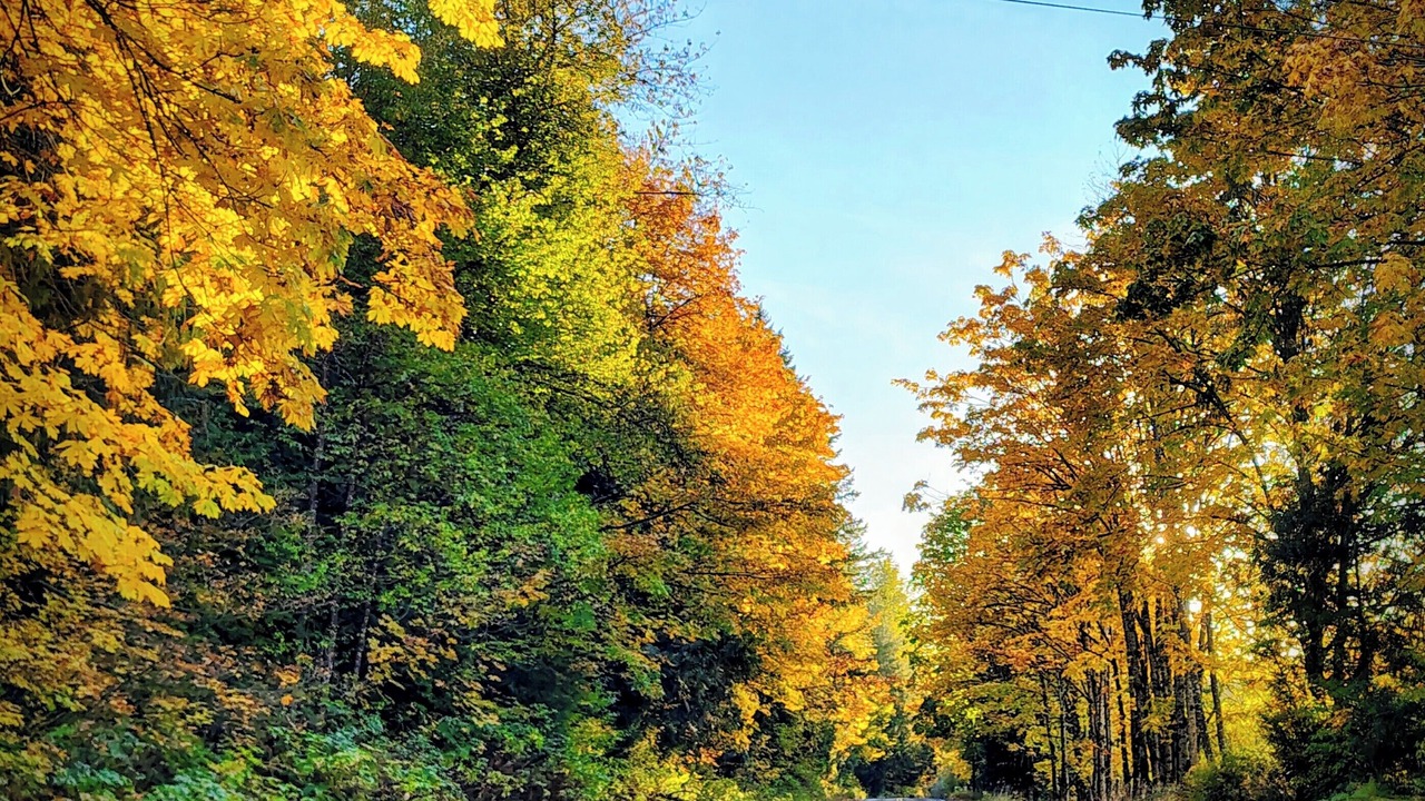 Photo of Others in Sumas