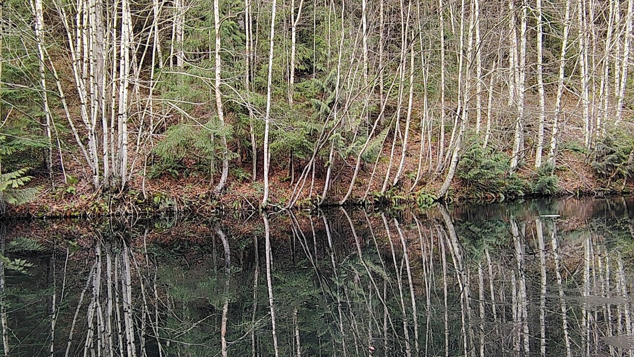 Photo of Others in Sumas