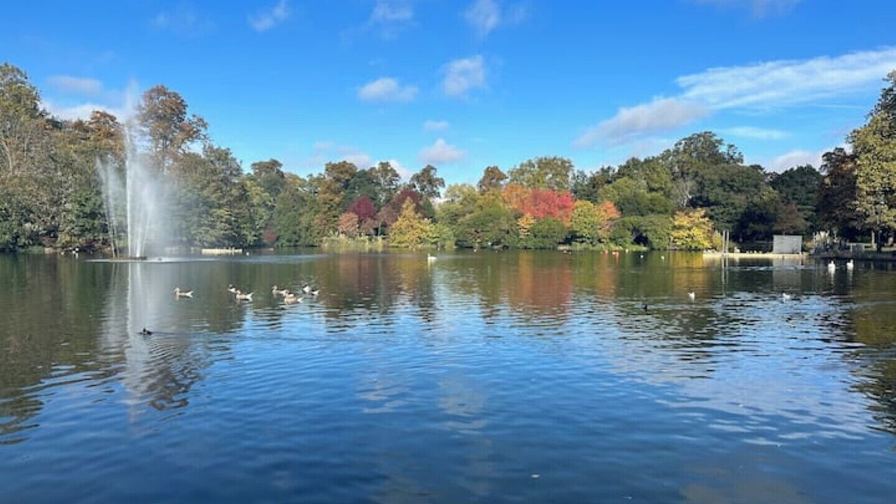 Photo of Others in Bow West