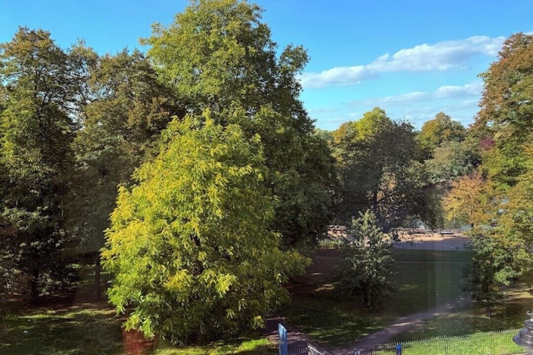 Photo of Others in Bow West