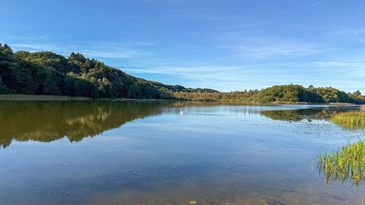 Photo of Others in Krejbjerg