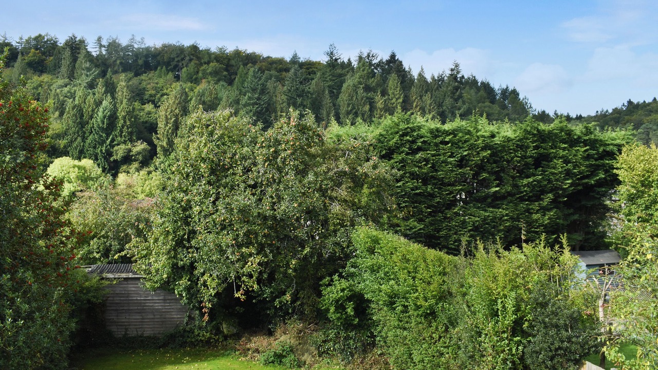 Photo of Others in Cinderford