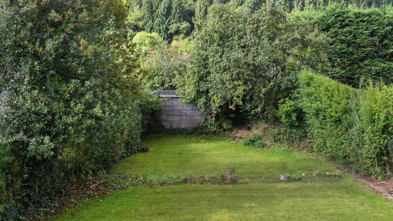 Photo of Outdoor in Cinderford