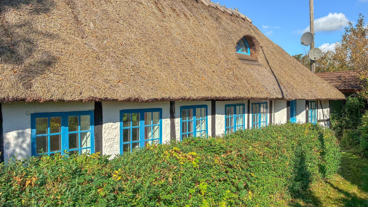 Photo of Others in Sollested