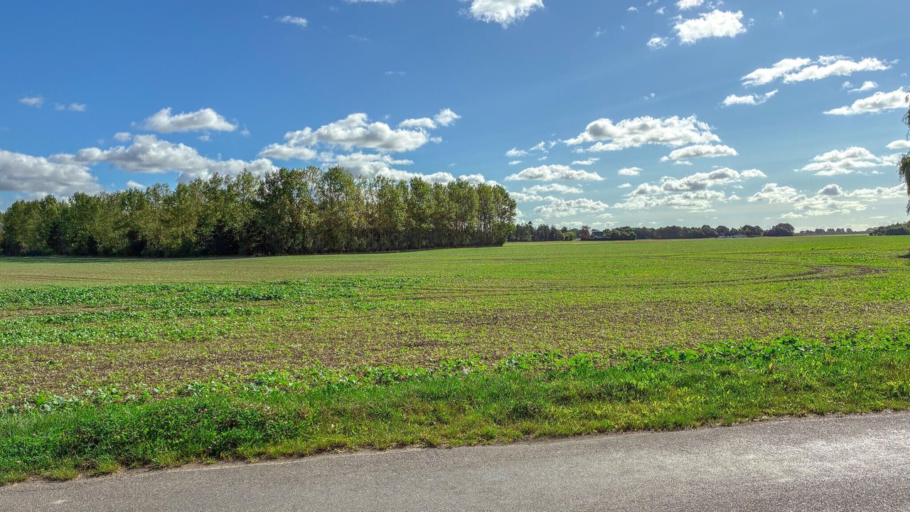 Photo of Bedroom in Sollested