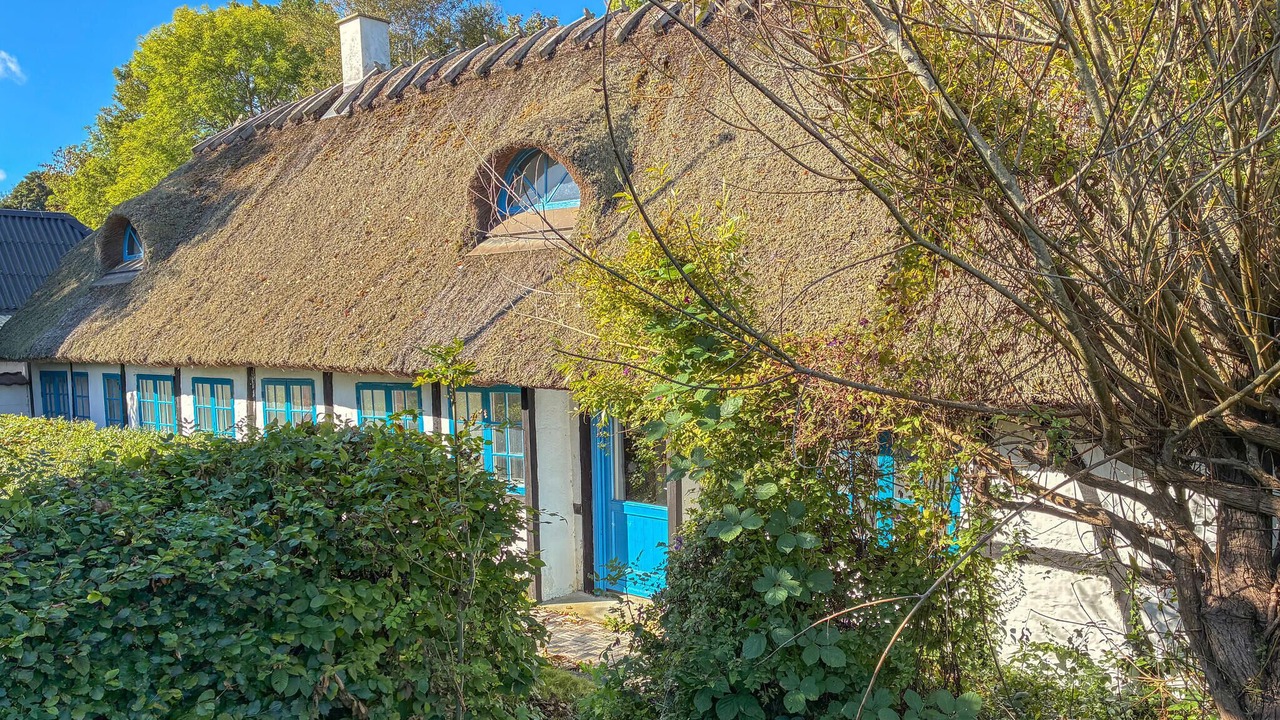 Photo of Others in Sollested