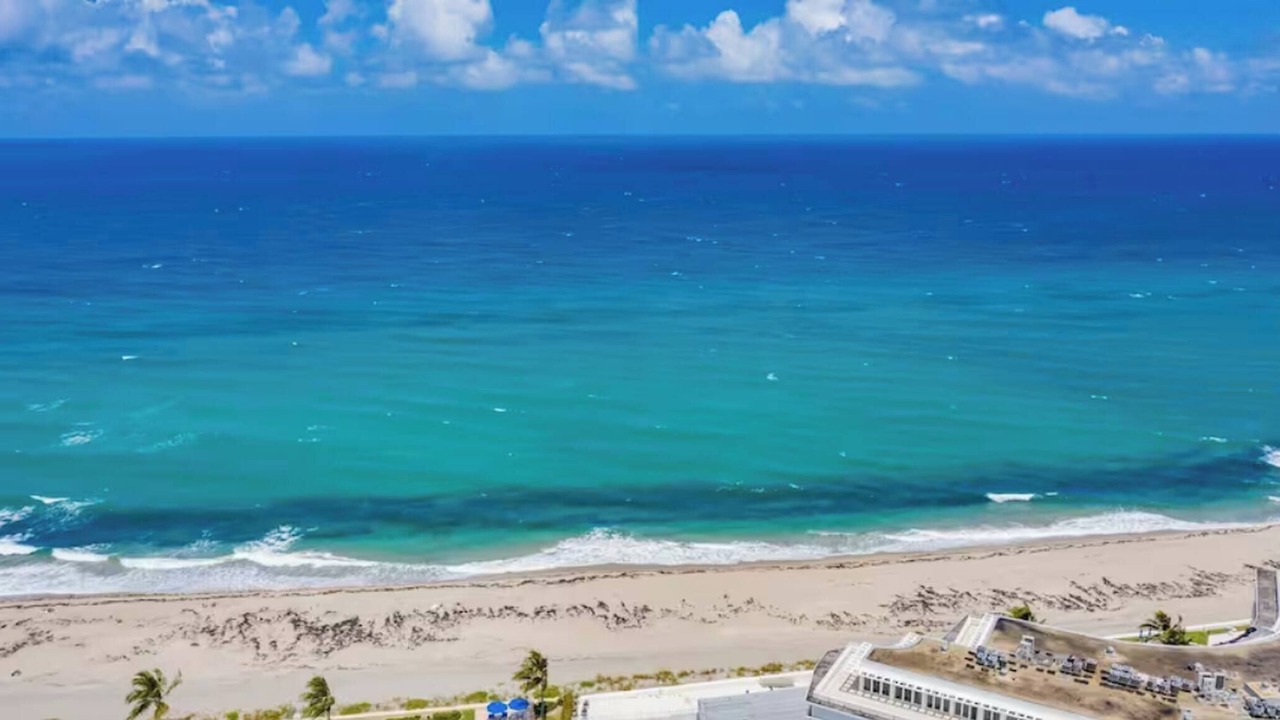 Photo of Others in Palm Beach