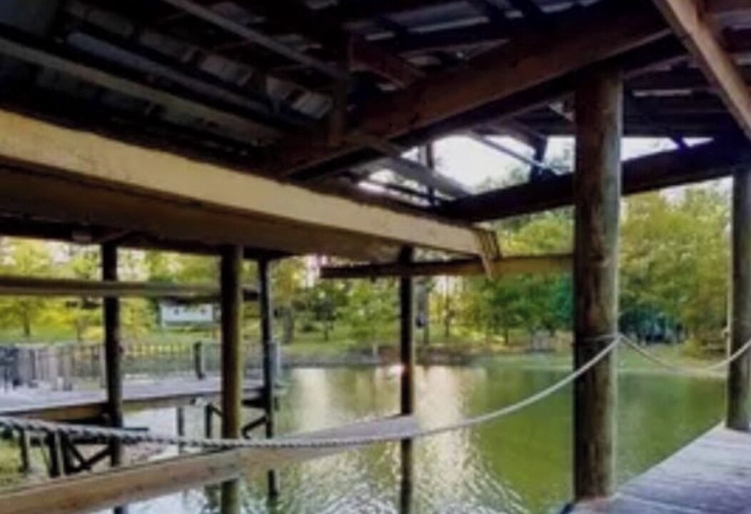 Photo of Others in Anacoco