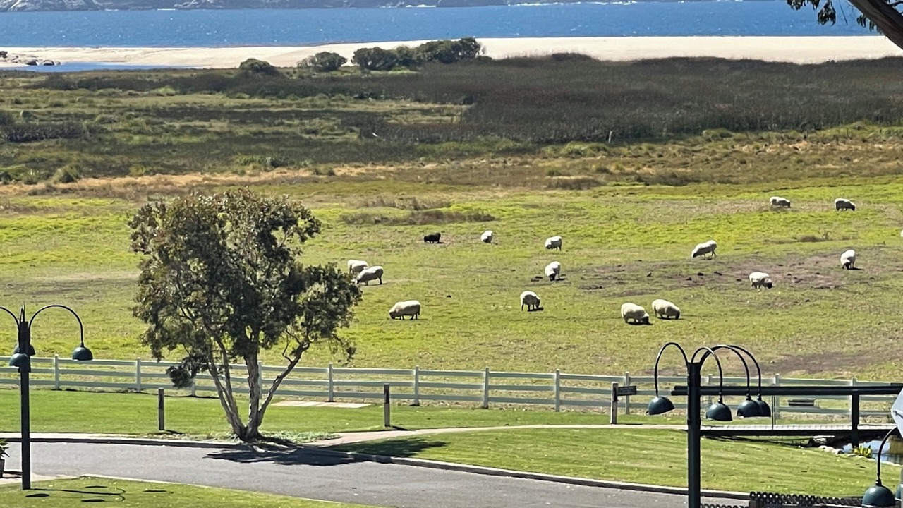 Photo of Others in Carmel Point