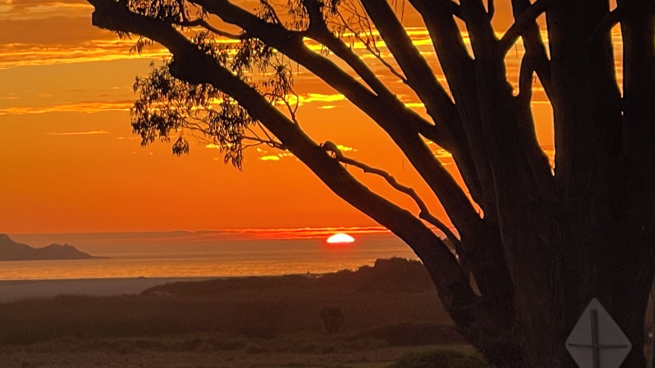 Photo of Others in Carmel Point