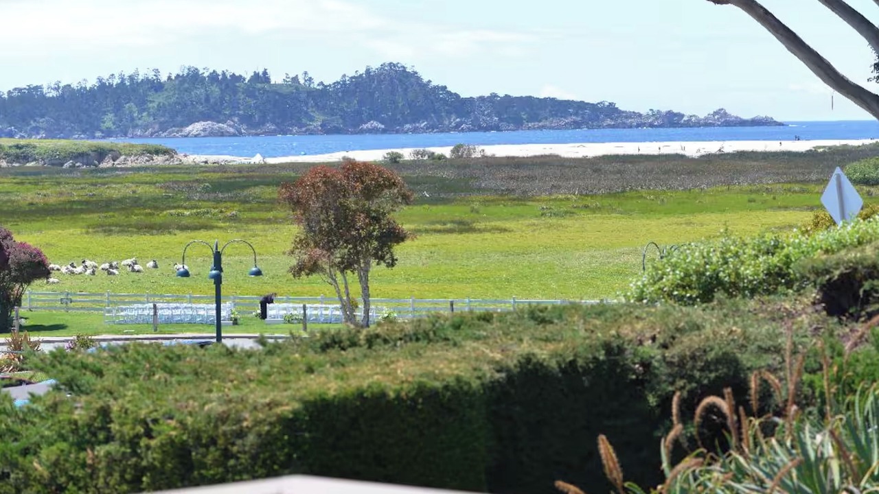 Photo of Others in Carmel Point