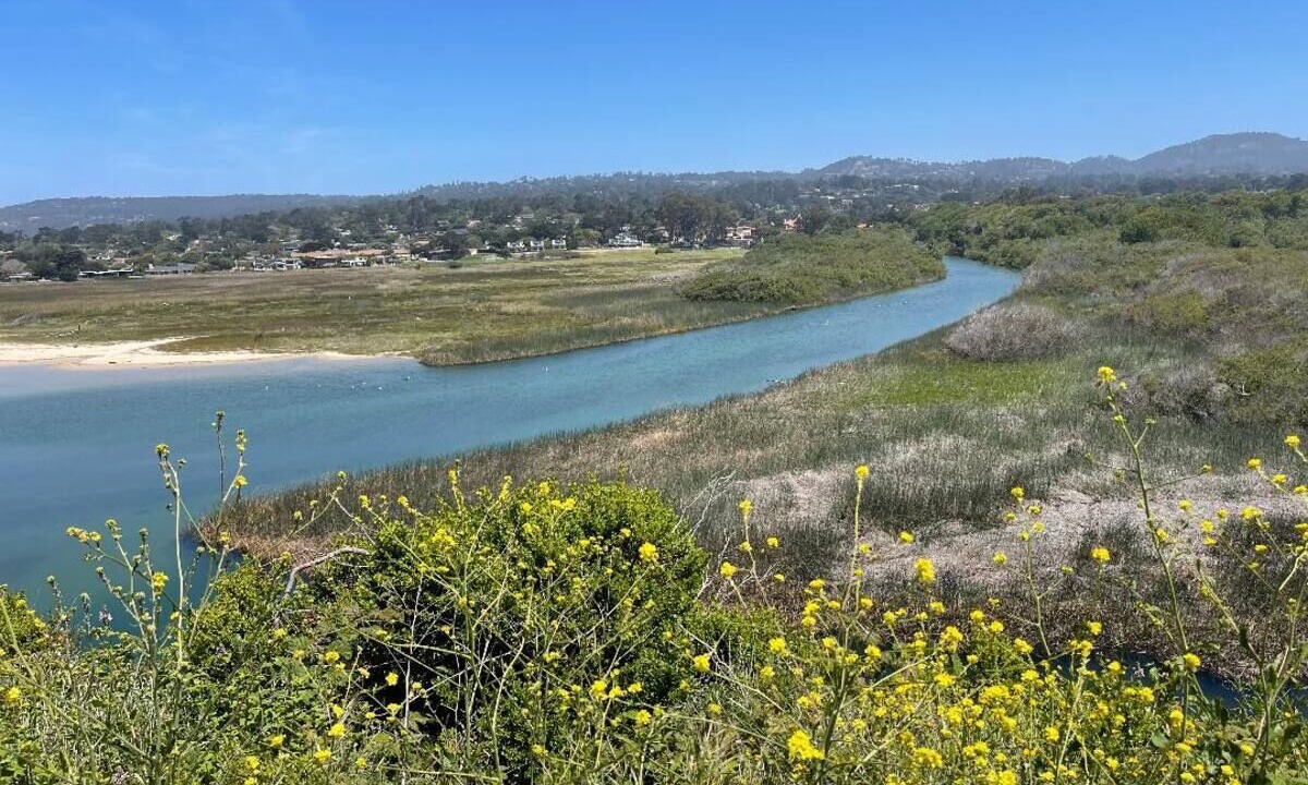 Photo of Others in Carmel Point