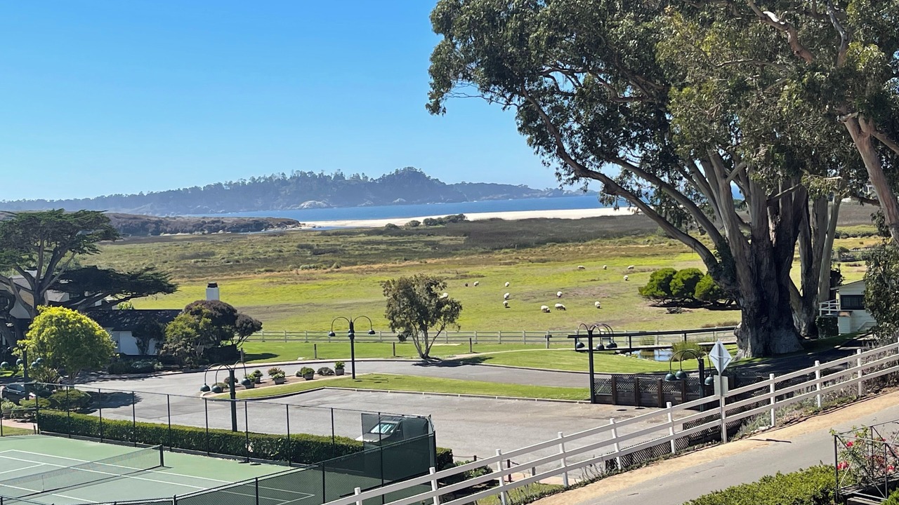 Photo of Others in Carmel Point