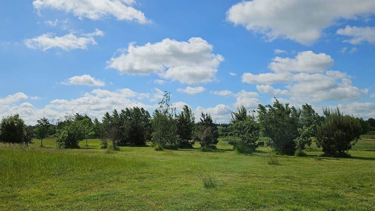 Photo of Others in Devizes