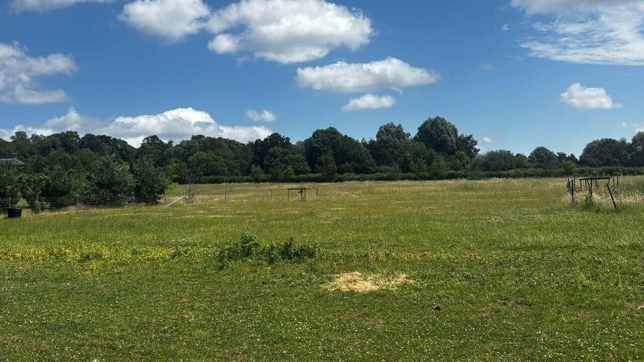 Photo of Others in Devizes