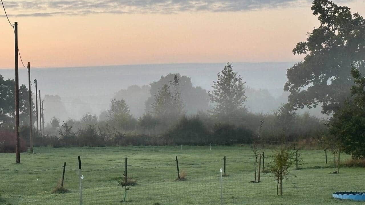 Photo of Others in Devizes