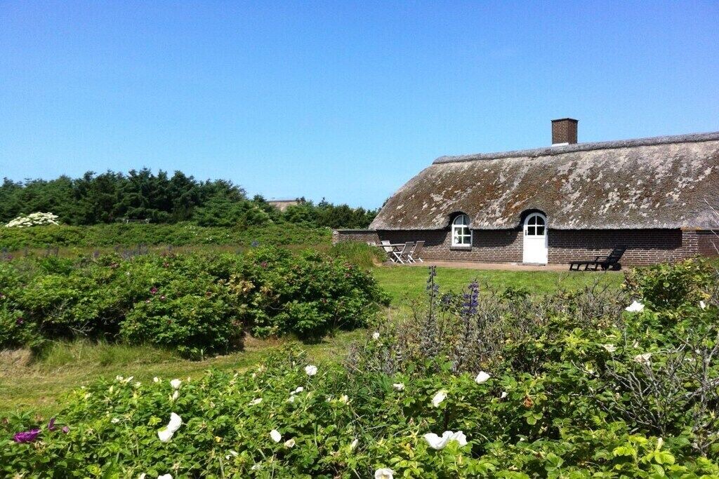 Photo of Others in Vedersø Klit