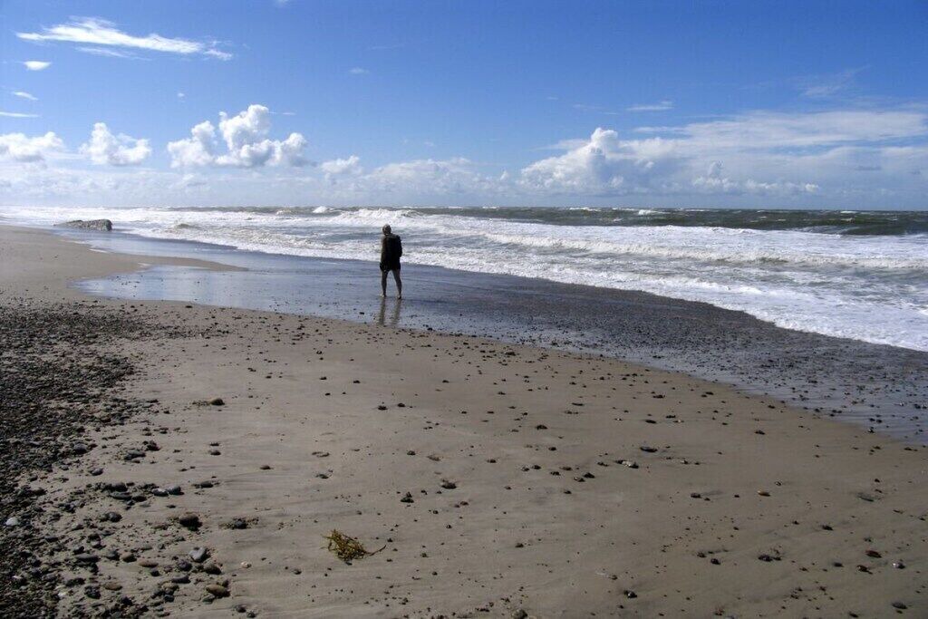 Photo of Others in Vedersø Klit