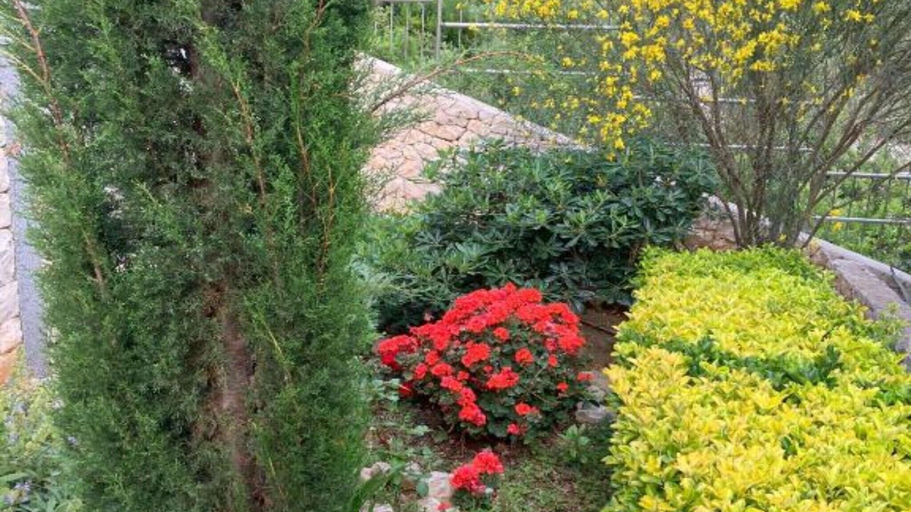 Photo of Outdoor in Blato