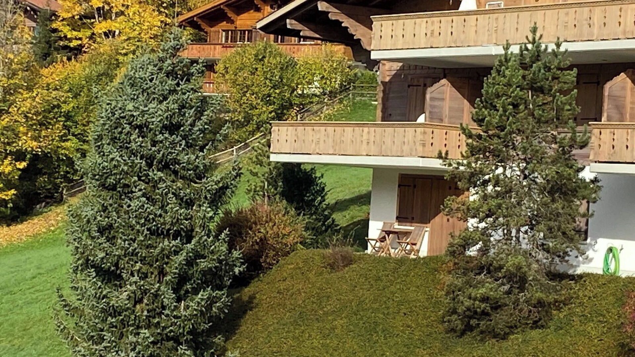 Photo of Outdoor in Saanen