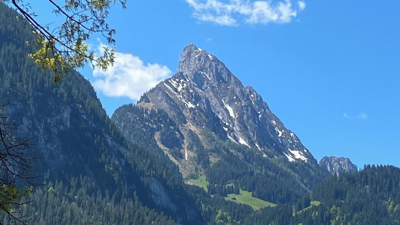 Photo of Others in Saanen