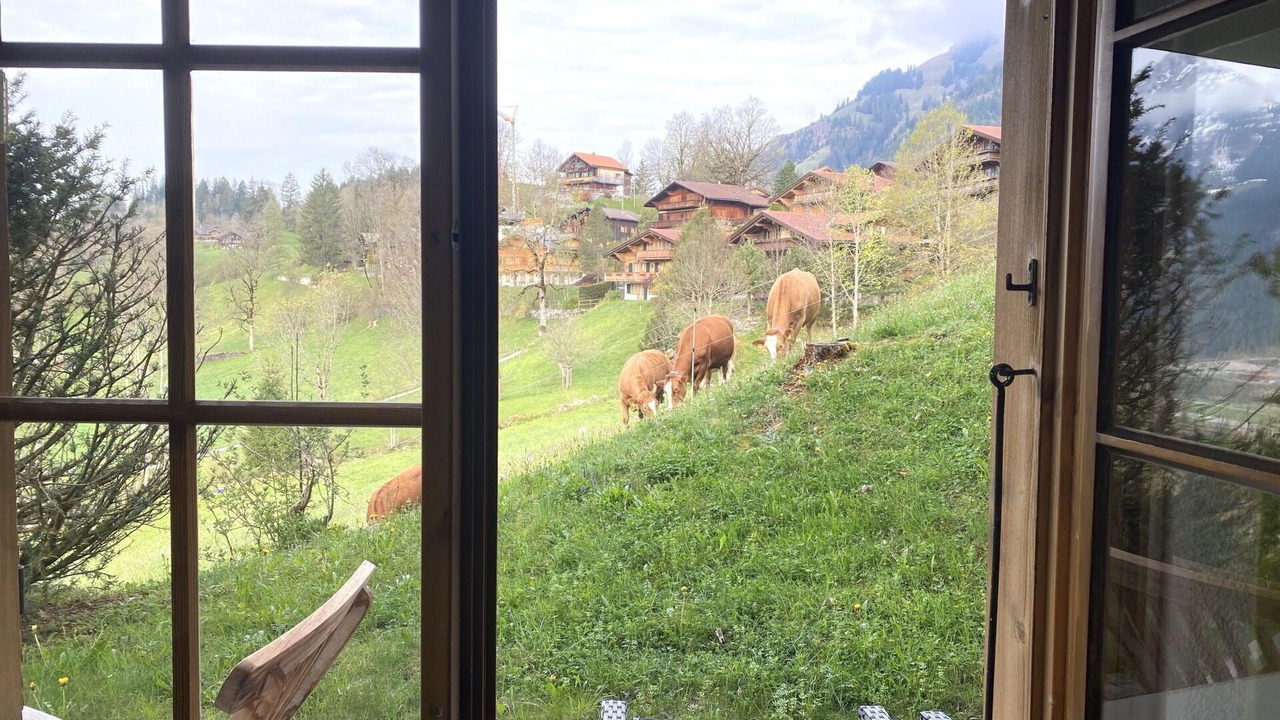 Photo of Others in Saanen