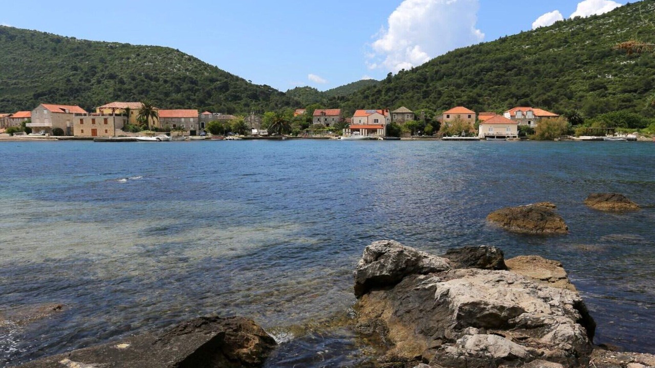 Photo of Others in Broce