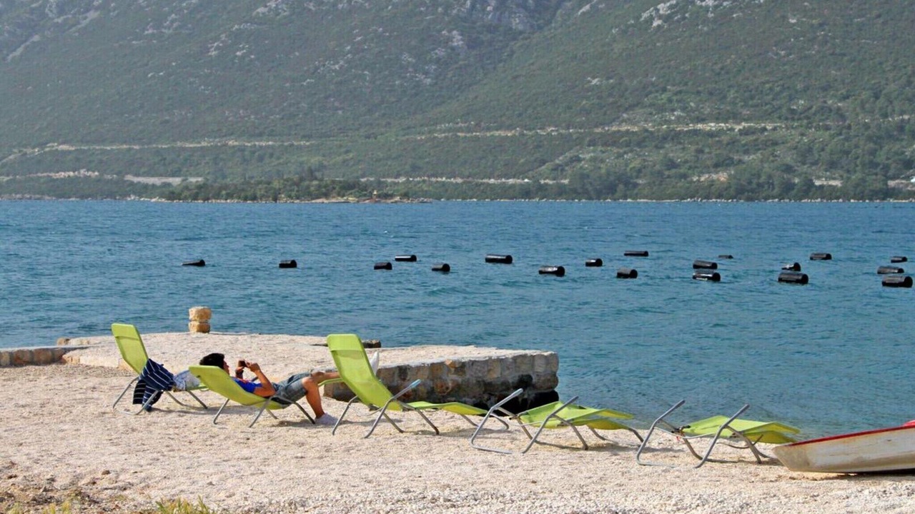 Photo of Others in Broce