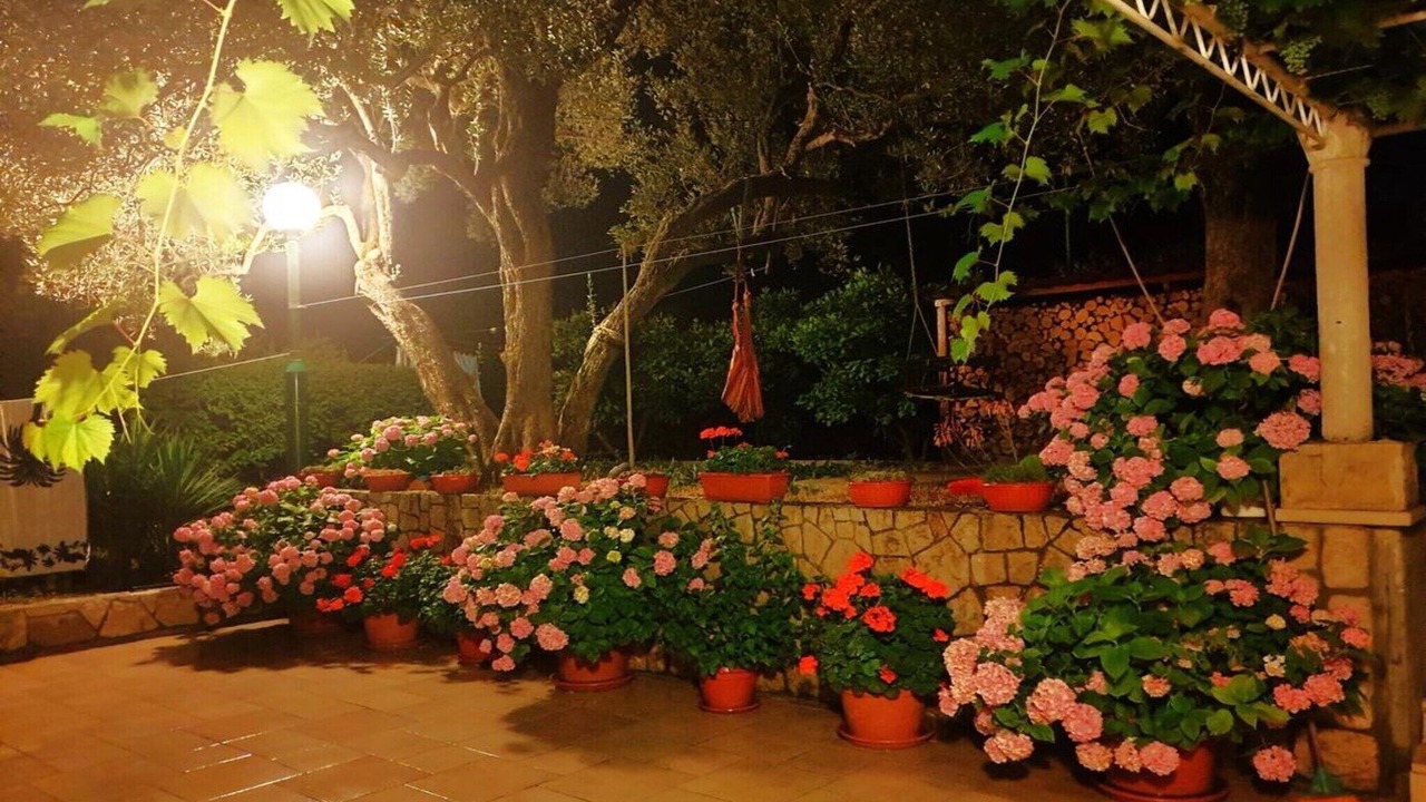 Photo of Outdoor in Broce