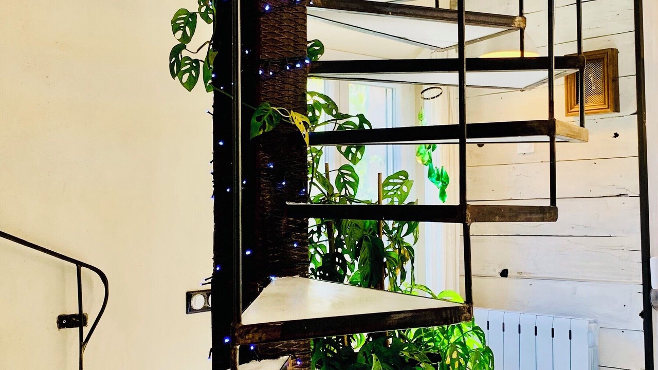 Photo of Others in Le Martinet