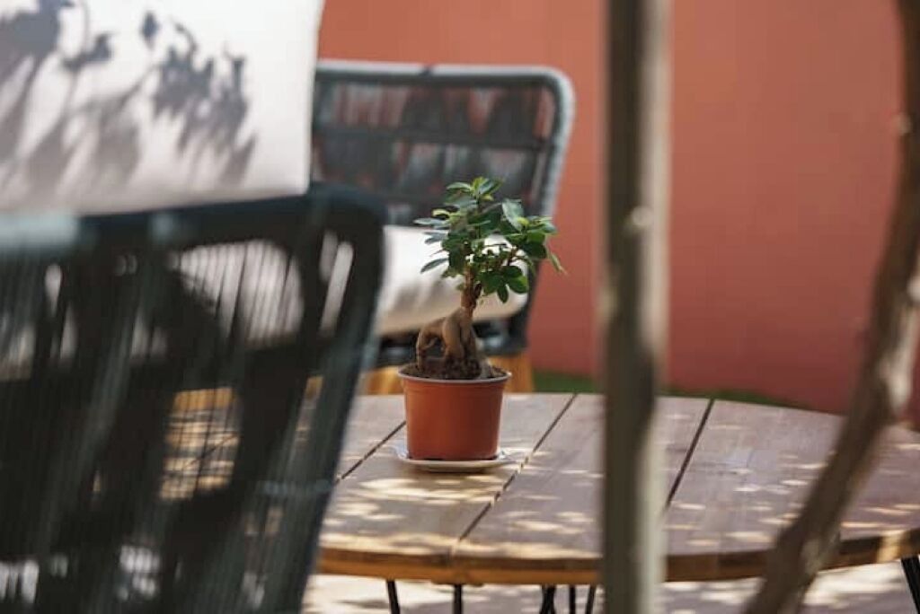 Photo of Outdoor in Le Grand Large