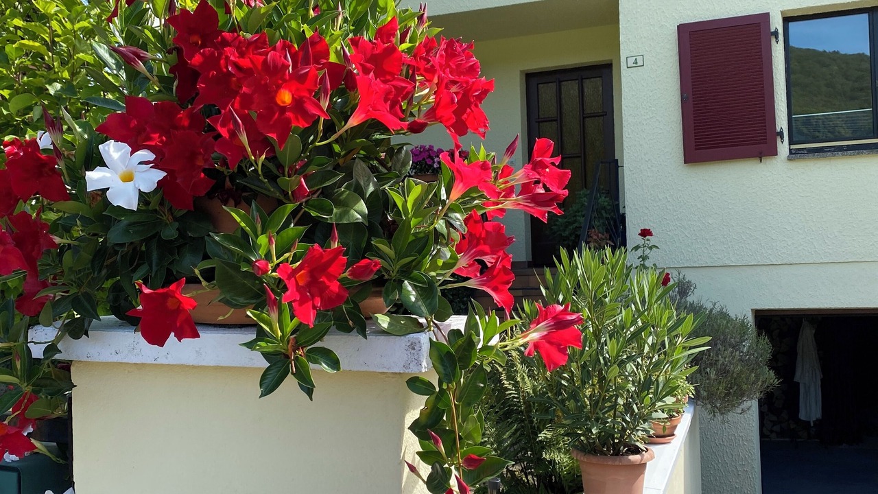 Photo of Outdoor in Drachenbronn