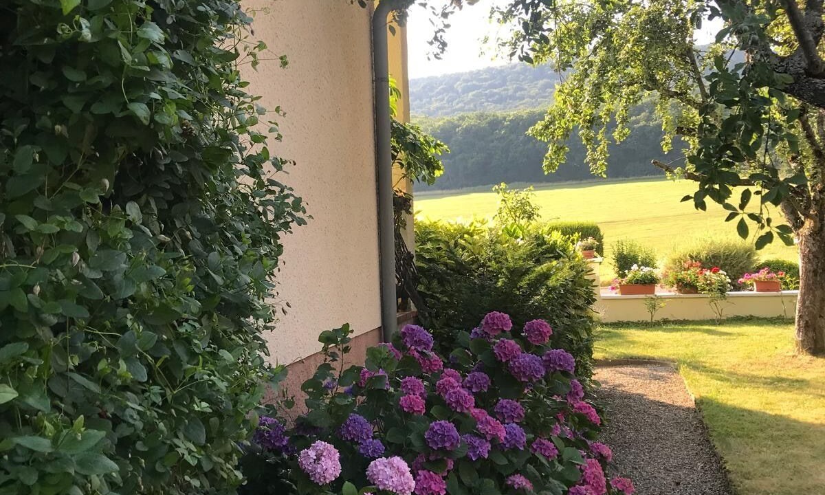 Photo of Outdoor in Drachenbronn