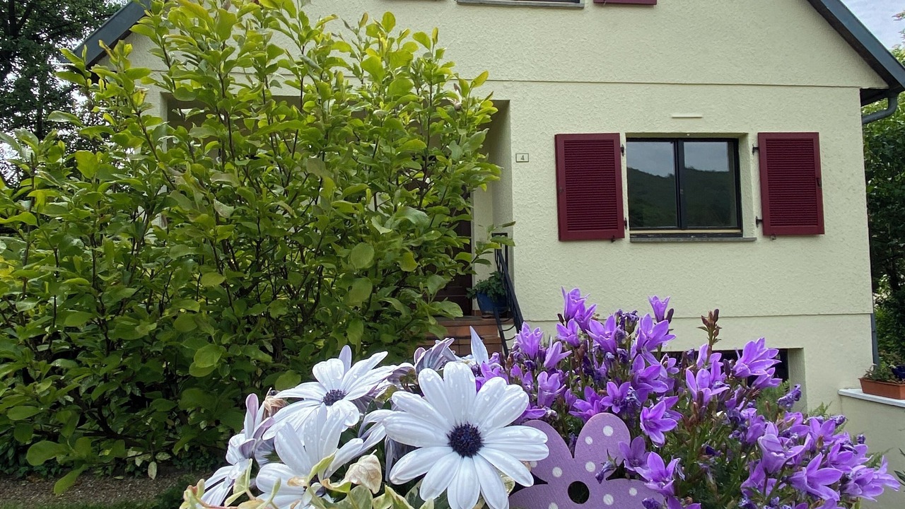 Photo of Outdoor in Drachenbronn