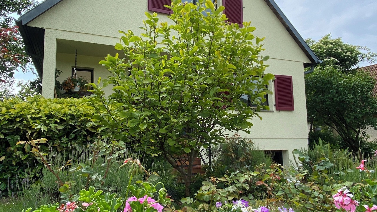 Photo of Outdoor in Drachenbronn